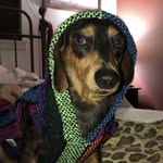 Hank E Allred - @hanky_panky17 - Instagram