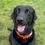 Hank Titus Allred - @hanky.poo211 - Instagram
