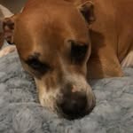 Hank Amos Grimm - @hankinreallife - Instagram