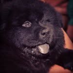 Hank Ramos - @hankramos - Instagram