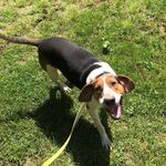 Hank Babiesss - @hank.bailey - Instagram