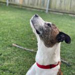 Hank Bailey - @ol_hanklin - Instagram