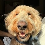 Hank Bailey - @hankybailey - Instagram