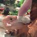 Hank Bailey - Facebook