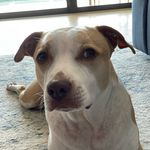 Hank Baker - @mr_hank0 - Instagram