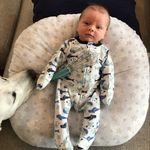 Hank The Baker - @hankthebaker - Instagram