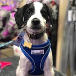 Hank Barnes - @hankybarnes - Instagram