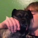 Hank Pabulo Barnes - @_.hankthepug._ - Instagram