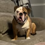 Hank Barnett - @hank10221 - Instagram