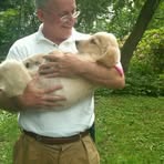 Hank Bauer - Facebook