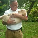 Hank Bauer - @hank_bauer - Instagram
