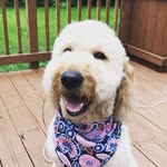 Hank - @hank_beckett - Instagram