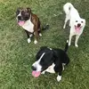 hankbeckham270 - @hankbeckham270 - TikTok