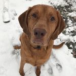 Hank Bennett - @hanksahimths - Instagram