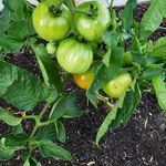 Hank Berry - @hankberry8 - Instagram