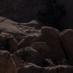 Hank Beyer - @hank_beyer - Instagram
