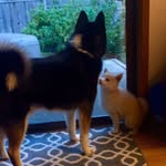 Hank & Birdie Hanke - @hank_n_birdie - Instagram