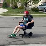 Hank bird - @hank_da.bird - Instagram