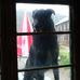 Hank Black - Facebook