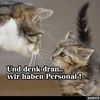 Hank Schwarz - @hankblack2 - TikTok