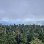 Hank Blake - @hank36092 - Instagram