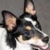 Hank Blake - Facebook