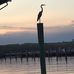 Hank Blank - Facebook
