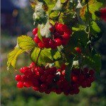 Bowen - @bowenhankersonw - Instagram