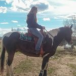Hank & Branch - @ranchin.ponies - Instagram