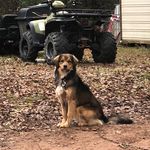 Hank Brooks - @hankbrooks9 - Instagram