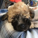 hank frank moon brooks - @hankfrankmb - Instagram