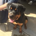 Hank Brown - @hankbrown_ - Instagram