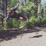 Hank Brown - @thehankening - Instagram