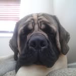 Hank Brown - @hankbrown19 - Instagram