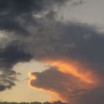 Hank Burch - @hank.burch.3 - Instagram