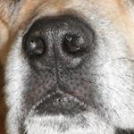 Hank Bush - @hankbush - Instagram