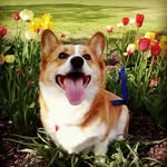 Hank Castillo - @chompira09 - Instagram