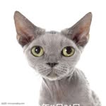 Hank Chow - @hankchow777 - Instagram
