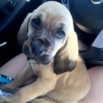 Hank Cobb - @hankofjsu - Instagram