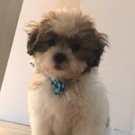 Hank Mcgregor Collins - @hank_mcgregor_collins - Instagram