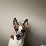 Hank Conrad - Facebook