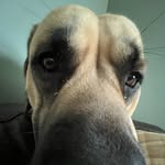 Hank Conrad - @hankconrad1 - Instagram