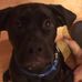 Hank Conroy - Facebook