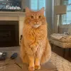 Hank - @hankcrowther - TikTok