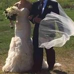 Henry Darling - Facebook