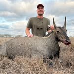 Hank David - @hanker.chief - Instagram