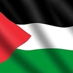 HANK DAVIDSON - @palestinesupporter55 - Instagram