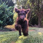 Hank Davidson - @doodlegram_13 - Instagram