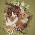 Hank & Dean - @kitten_ventures - Instagram