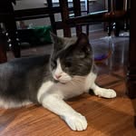 Hank Edwards - @hankedwards5658292 - Instagram